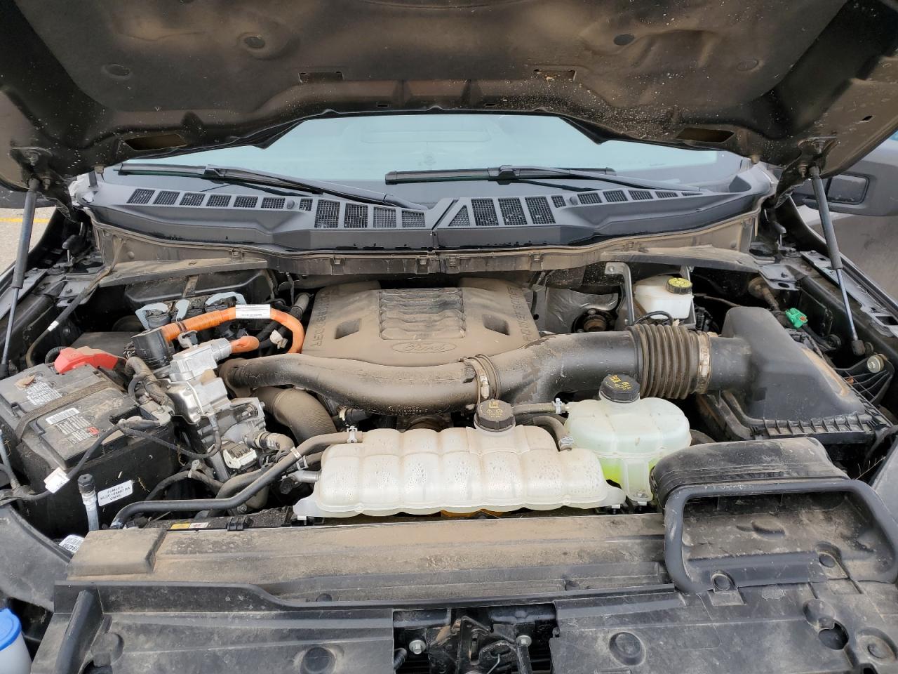 2023 FORD F150 SUPERCREW VIN:1FTFW1EDXPFC58883