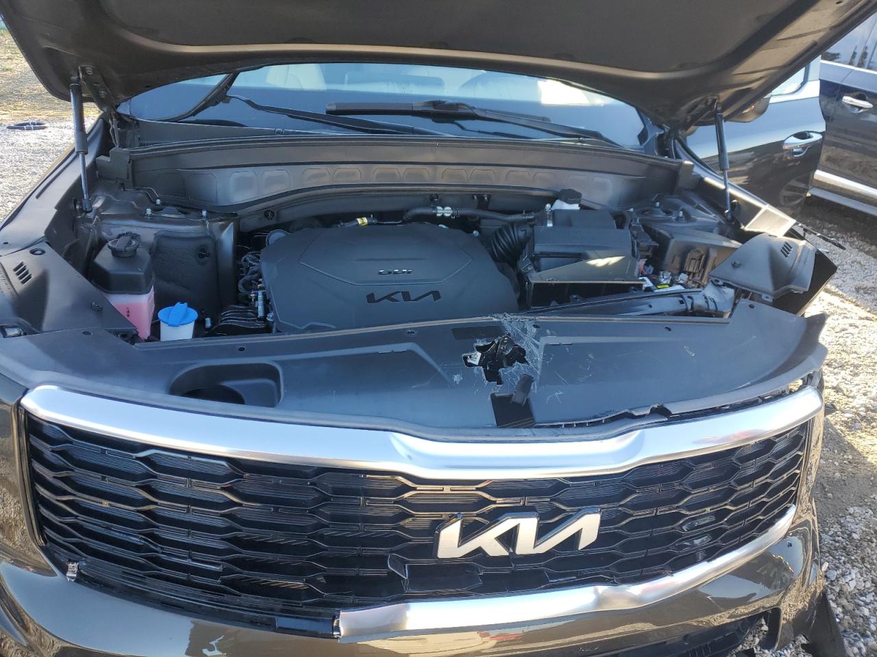 2022 KIA TELLURIDE S VIN:5XYP64HC4NG228071