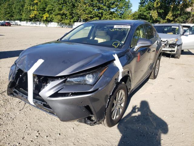 2021 LEXUS NX 300 BASE VIN: JTJDARDZ7M2261256