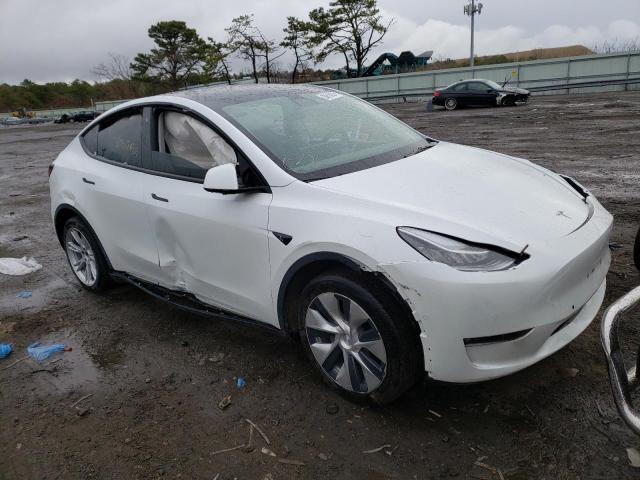 2021 TESLA MODEL Y VIN: 5YJYGDEE3MF229693