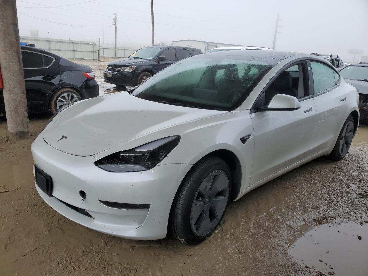 2023 TESLA MODEL 3 VIN:5YJ3E1EA9PF554848