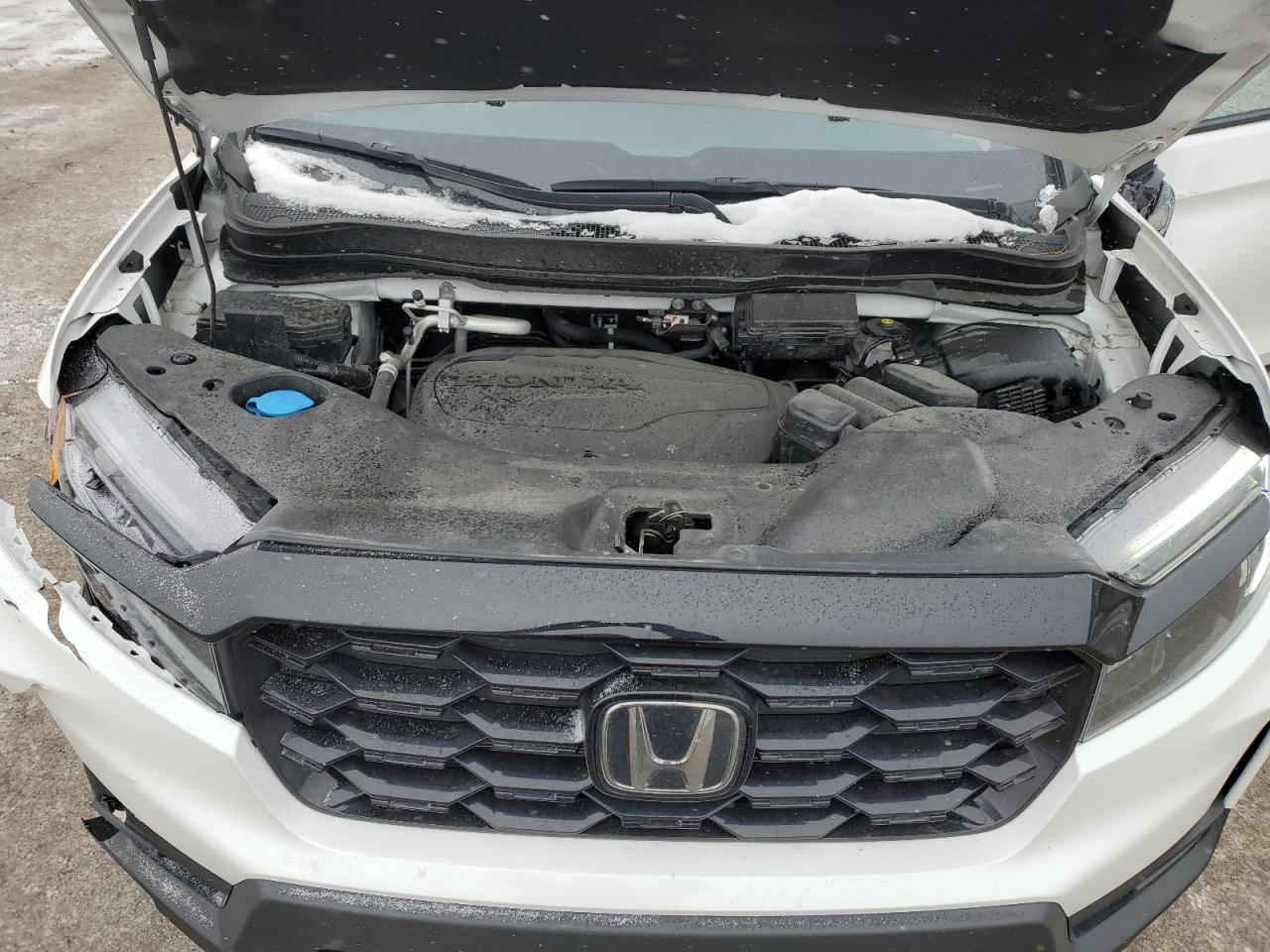 2022 HONDA PASSPORT ELITE VIN:5FNYF8H02NB031893