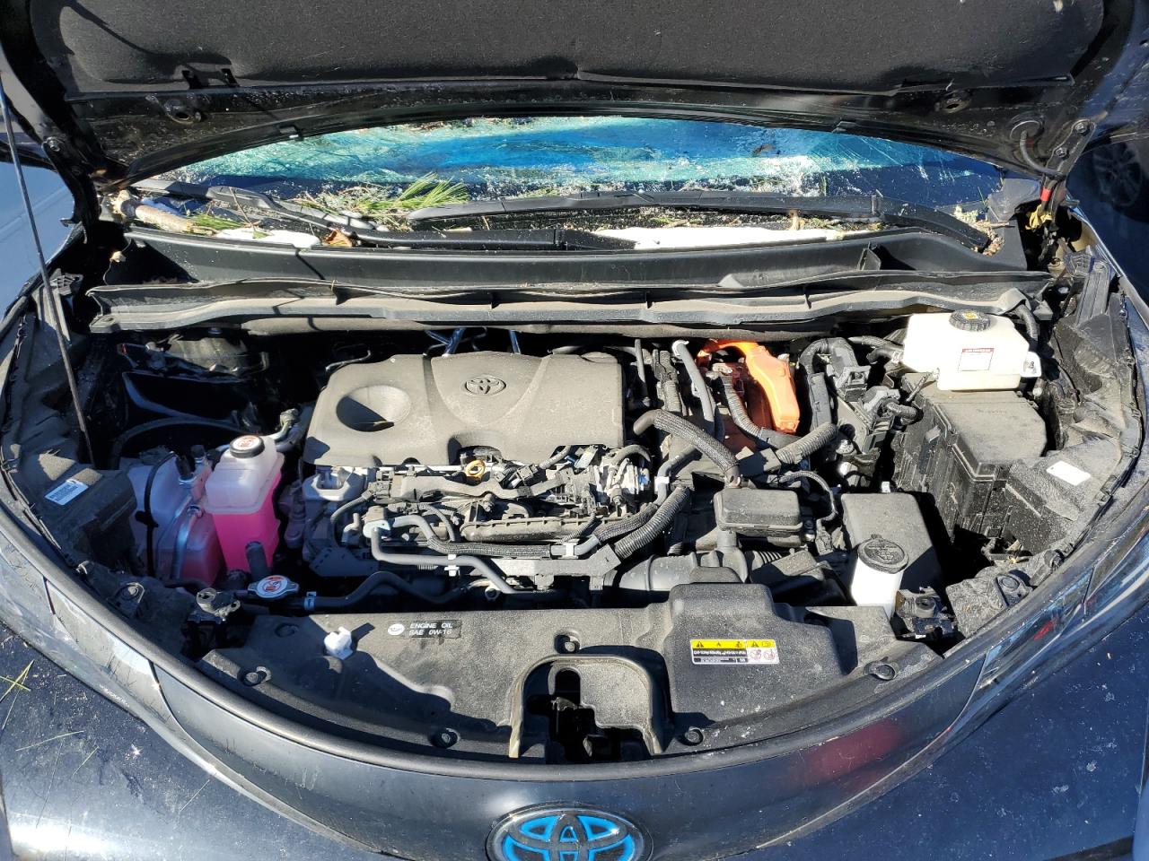 2022 TOYOTA SIENNA XLE VIN:5TDASKFC3NS049872