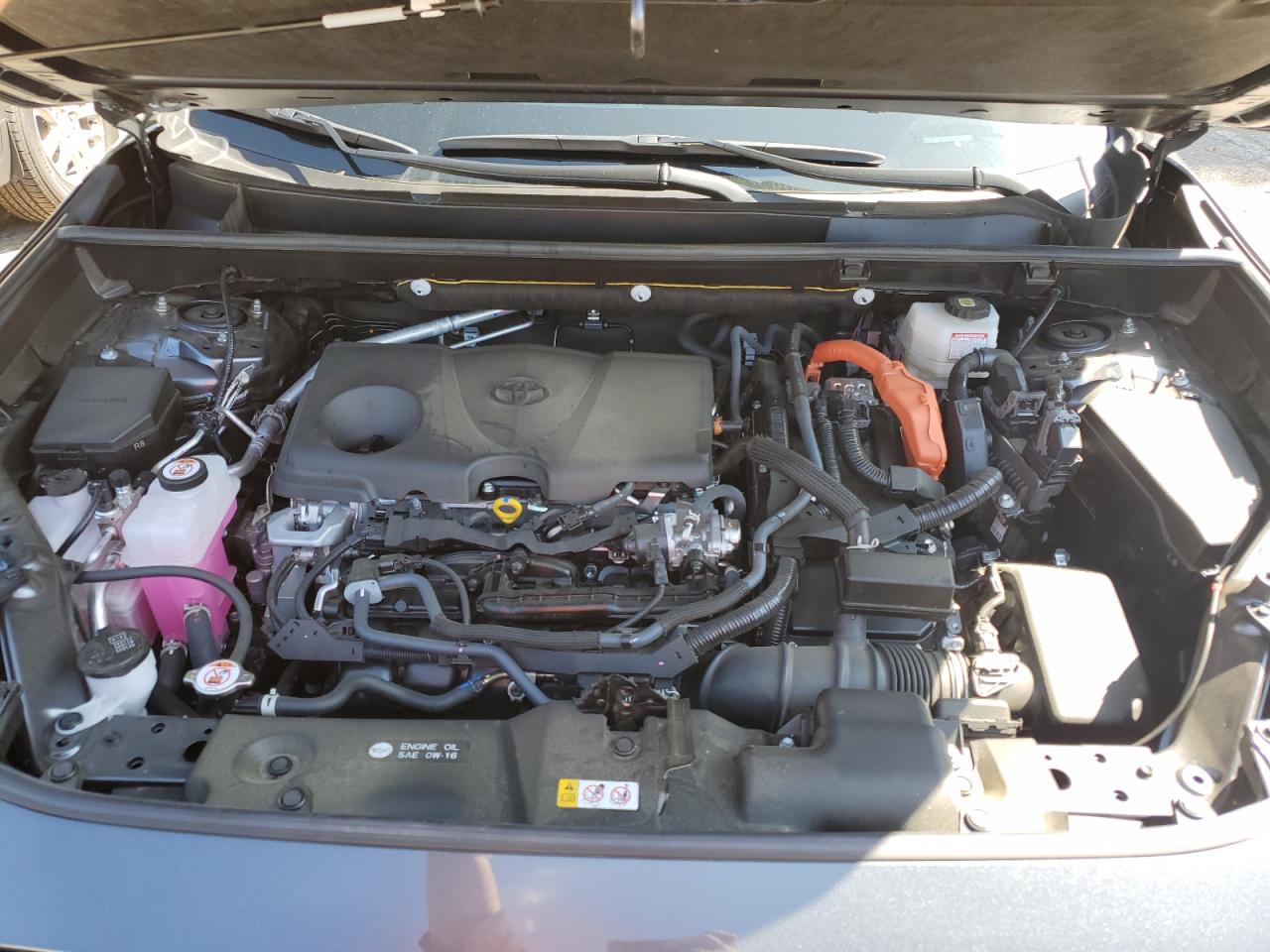 2023 TOYOTA RAV4 XSE VIN:JTME6RFV4PD537226