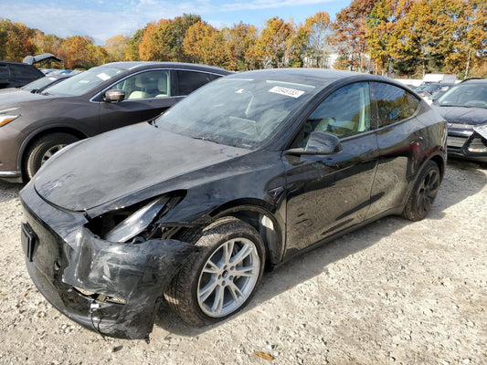 2023 TESLA MODEL Y  VIN:7SAYGDEE2PF859177