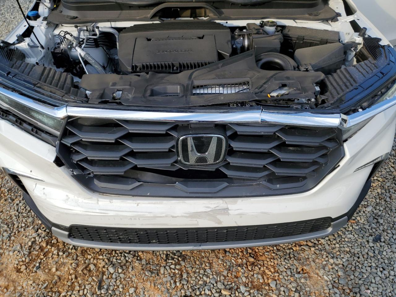 2023 HONDA PILOT EXL VIN:5FNYG2H43PB002788