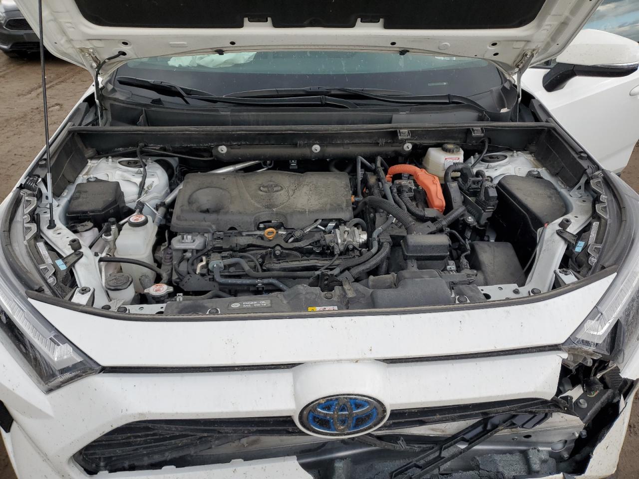 2022 TOYOTA RAV4 XLE VIN:4T3RWRFV6NU069890