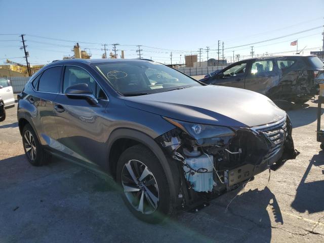 2020 LEXUS NX 300 VIN: JTJGARBZ1L2177349