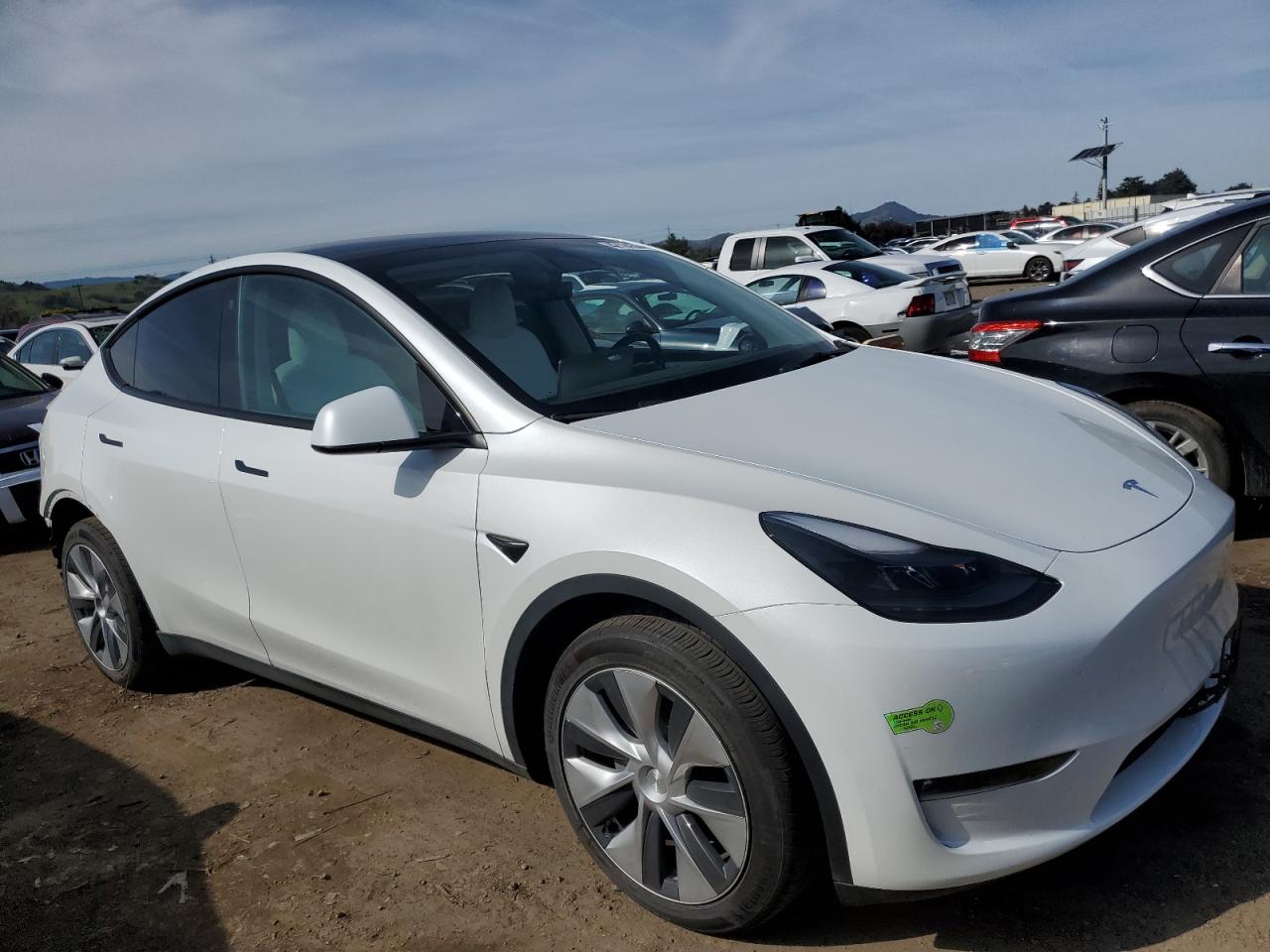 2023 TESLA MODEL Y  VIN:7SAYGDEE5PF623946