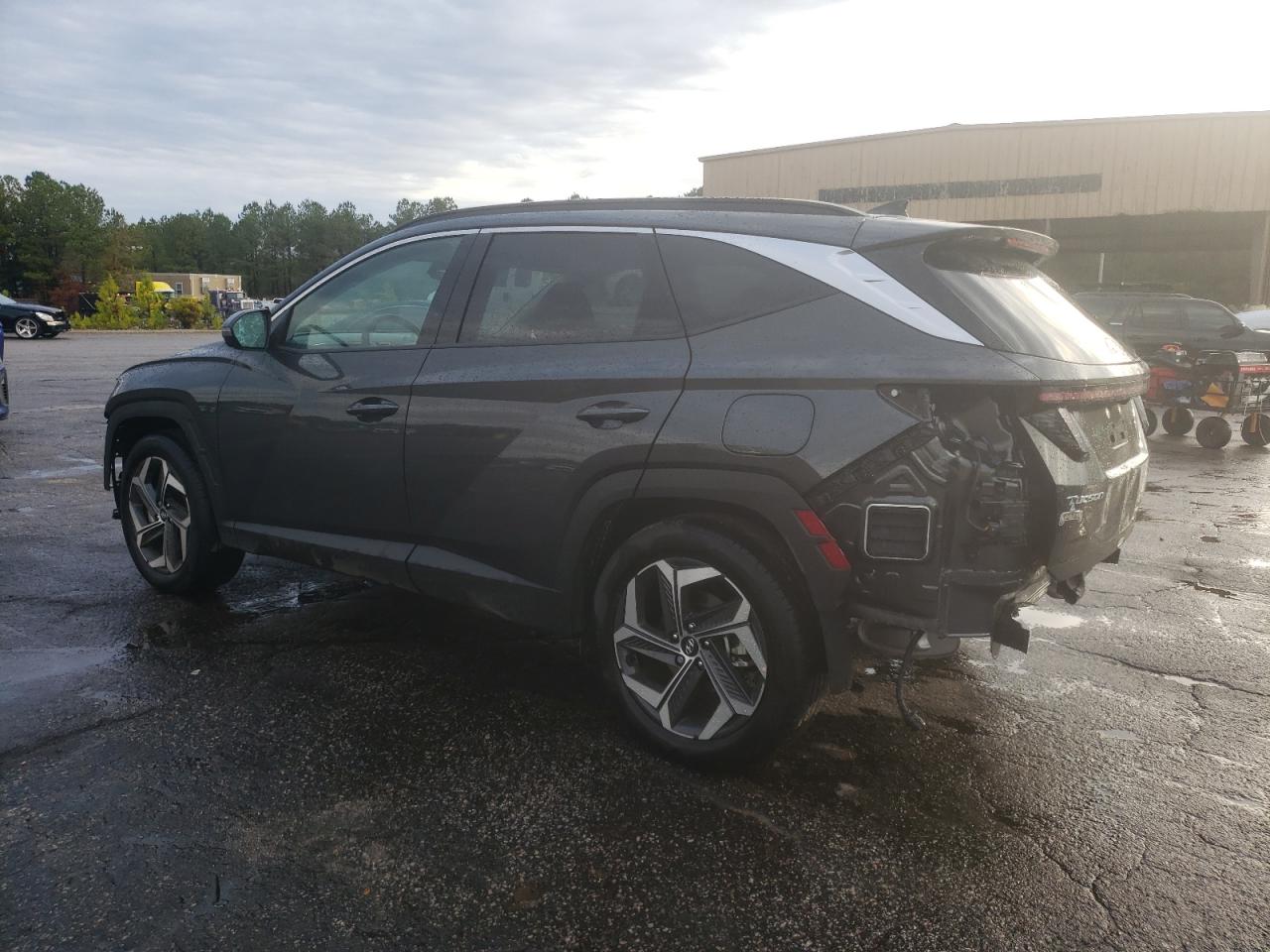 2023 HYUNDAI TUCSON LIMITED VIN:5NMJE3AE5PH257974