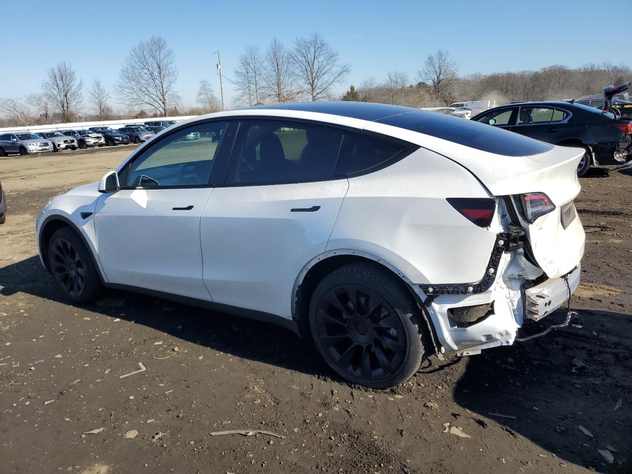 2023 TESLA MODEL Y  VIN:7SAYGDEEXPF758551