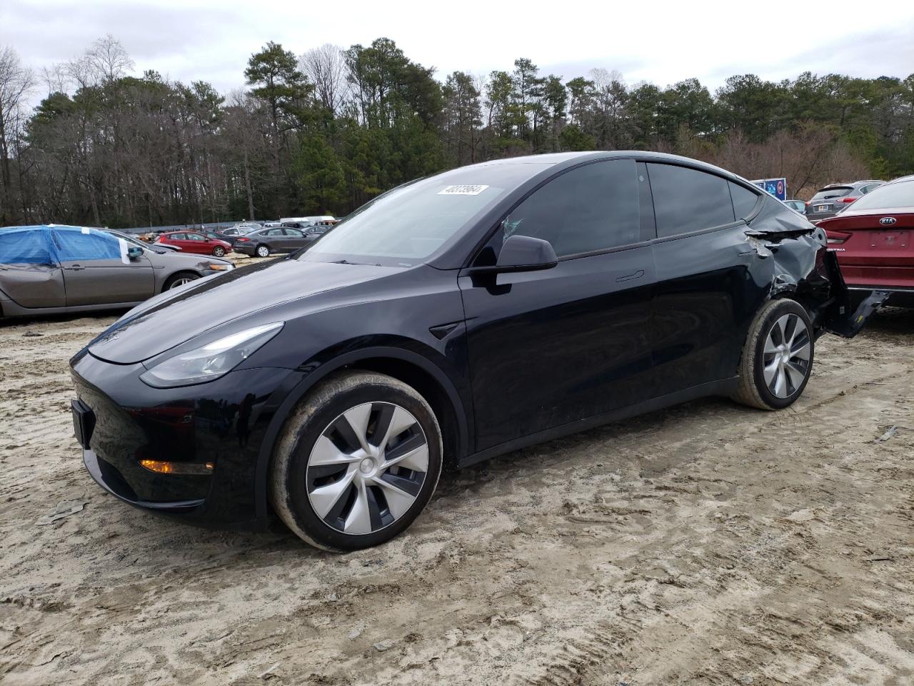 2023 TESLA MODEL Y  VIN:7SAYGDEEXPF631041