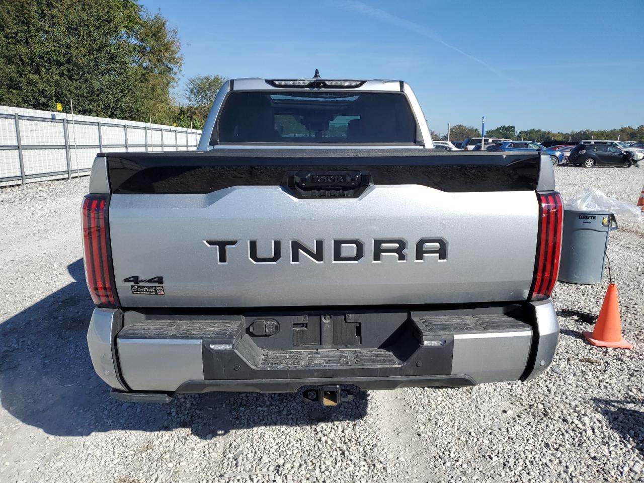 2023 TOYOTA TUNDRA CREWMAX PLATINUM VIN:5TFNA5DBXPX094773