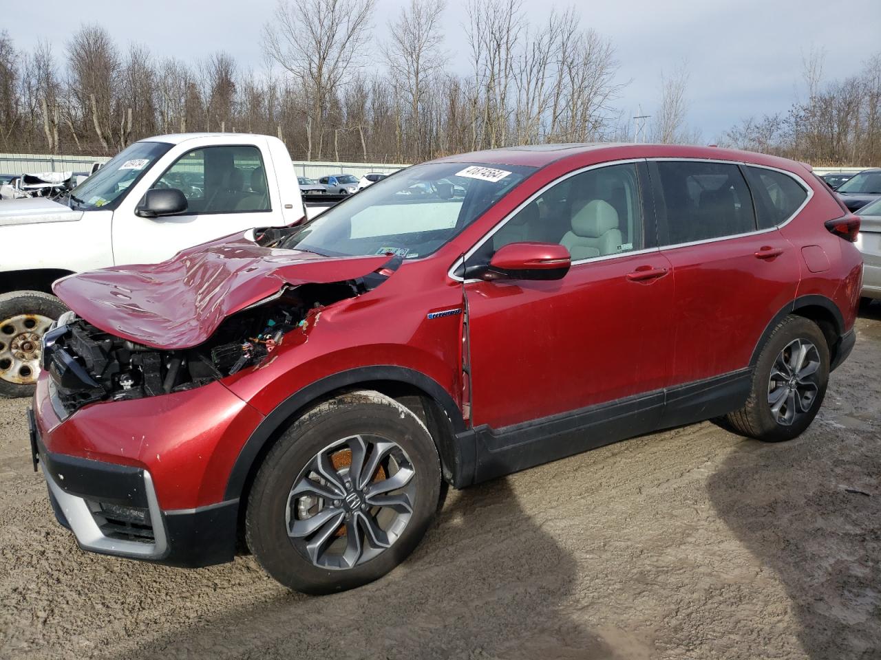 2022 HONDA CR-V EXL VIN:5J6RT6H87NL050146