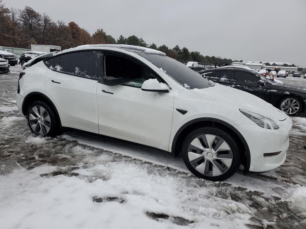 2023 TESLA MODEL Y  VIN:7SAYGDEE5PA035736