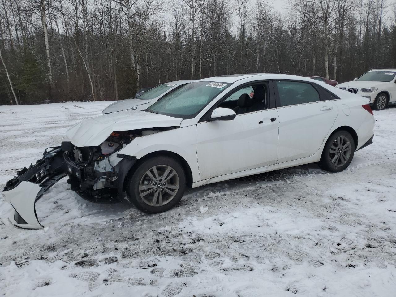 2023 HYUNDAI ELANTRA LIMITED VIN:KMHLN4AJ3PU053013