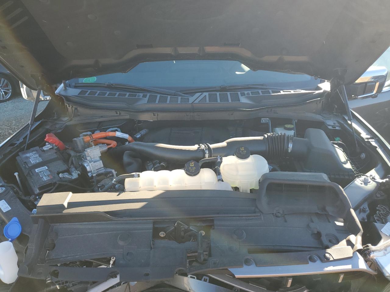 2023 FORD F150 SUPERCREW VIN:1FTFW1ED3PFA13844