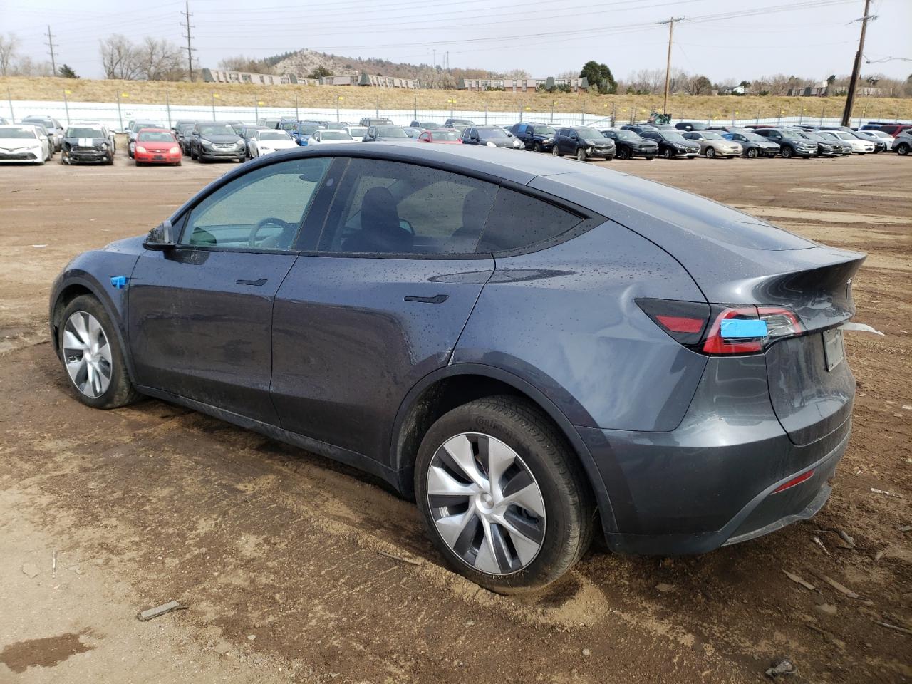 2023 TESLA MODEL Y  VIN:7SAYGAEEXPF848264