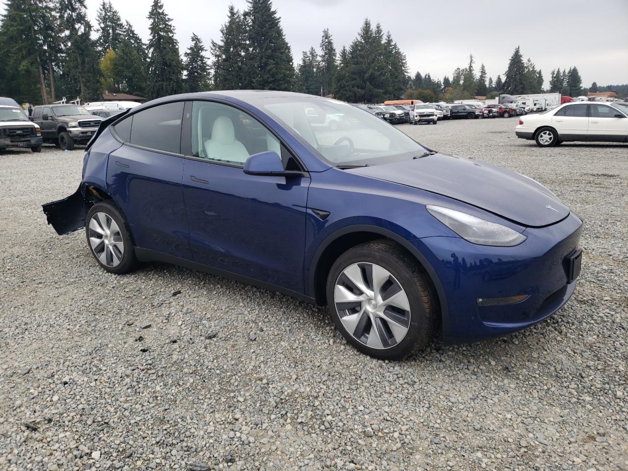 2023 TESLA MODEL Y  VIN:7SAYGDEE5PF842485