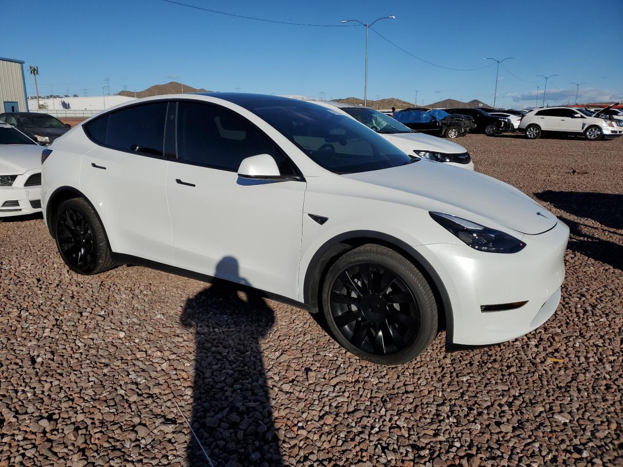 2023 TESLA MODEL Y  VIN:7SAYGAEE6PF815309