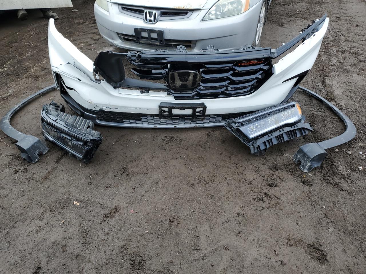 2023 HONDA PILOT TRAILSPORT VIN:5FNYG1H64PB502177