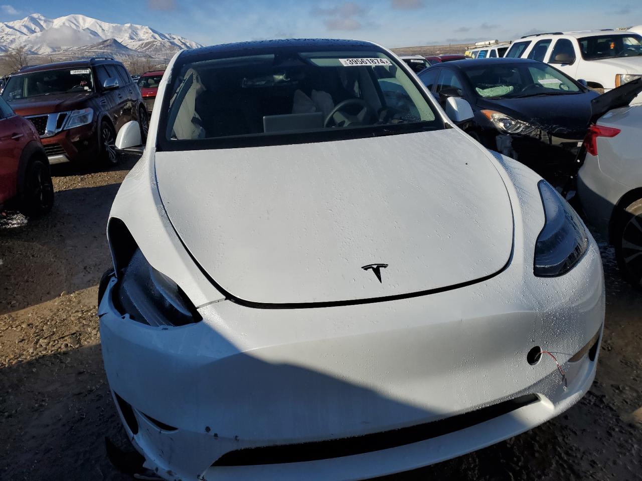 2023 TESLA MODEL Y  VIN:7SAYGDEE7PA149897