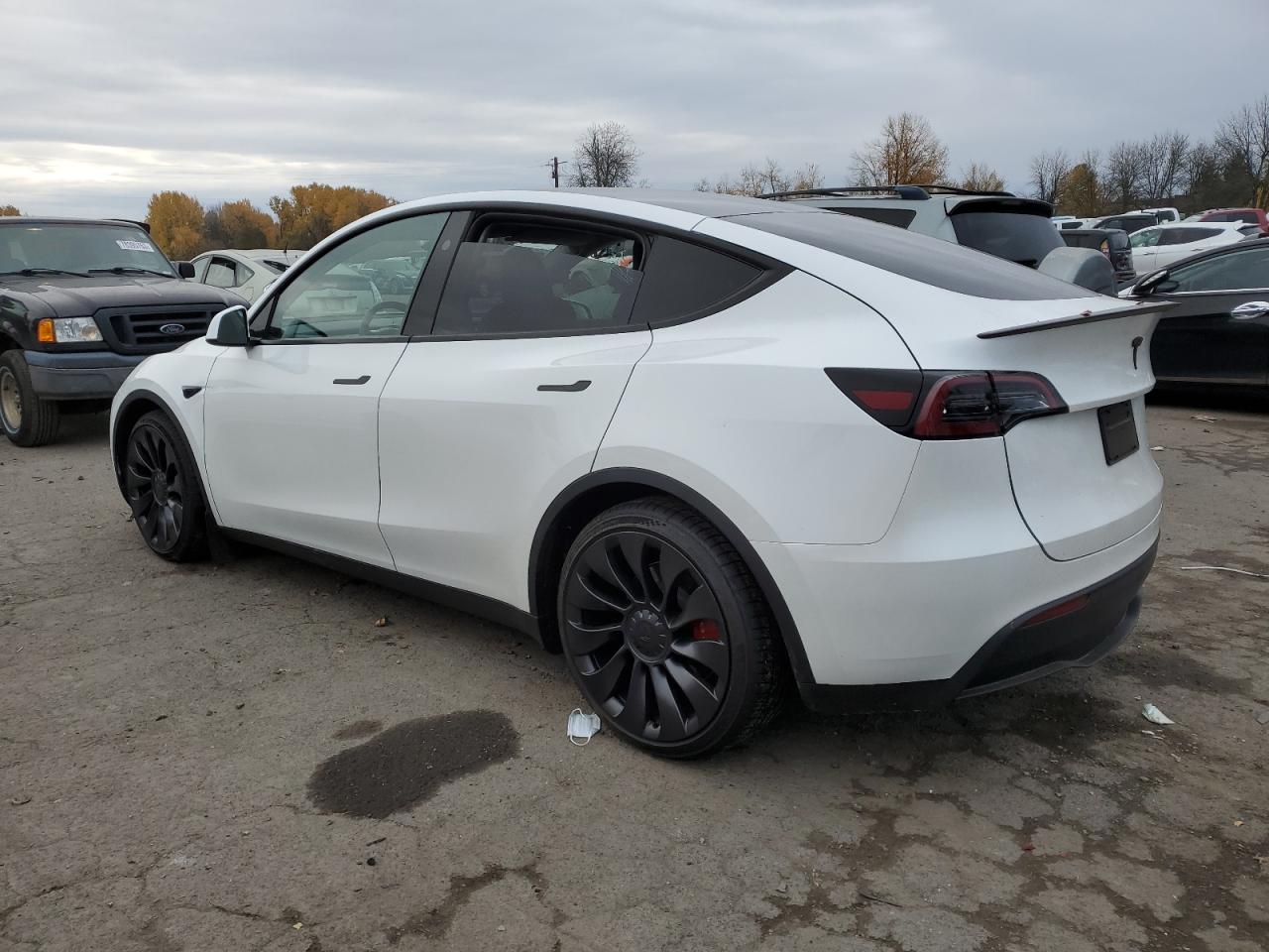 2023 TESLA MODEL Y  VIN:7SAYGDEF8PF812731