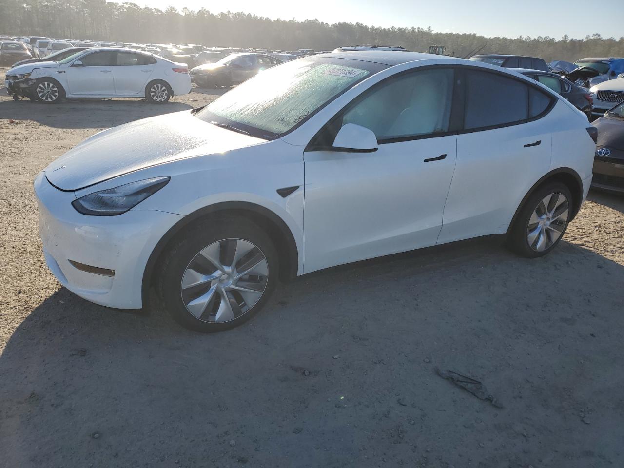 2023 TESLA MODEL Y  VIN:7SAYGDEE9PA093669