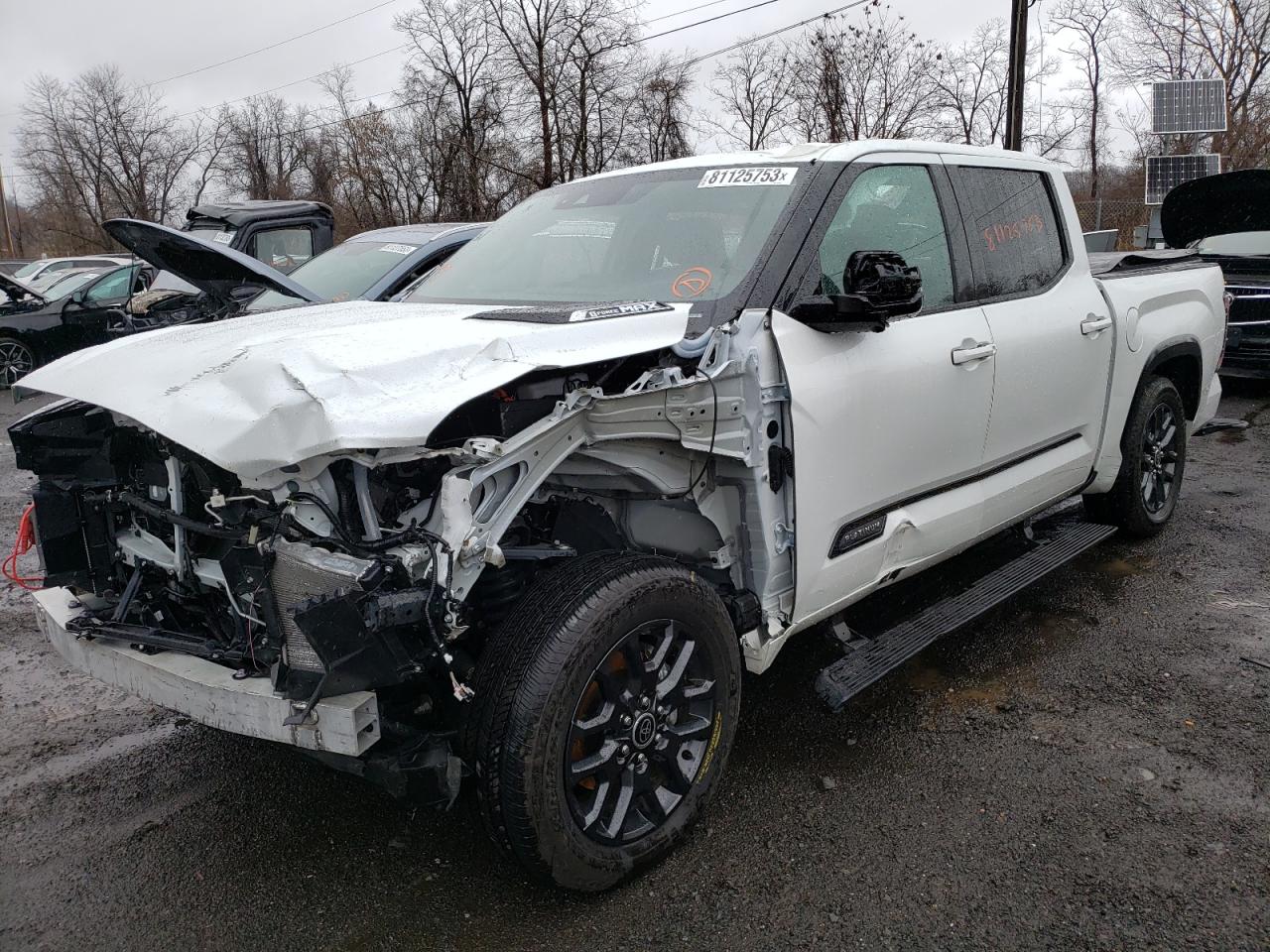 2022 TOYOTA TUNDRA CREWMAX PLATINUM VIN:5TFNC5DB6NX007670