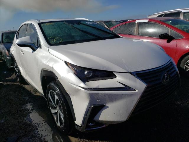 2021 LEXUS NX 300 BASE VIN: JTJGARBZ5M2179378