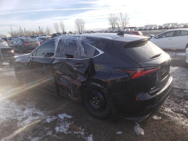 2021 LEXUS NX 300 BASE VIN: JTJSARDZ1M2246808