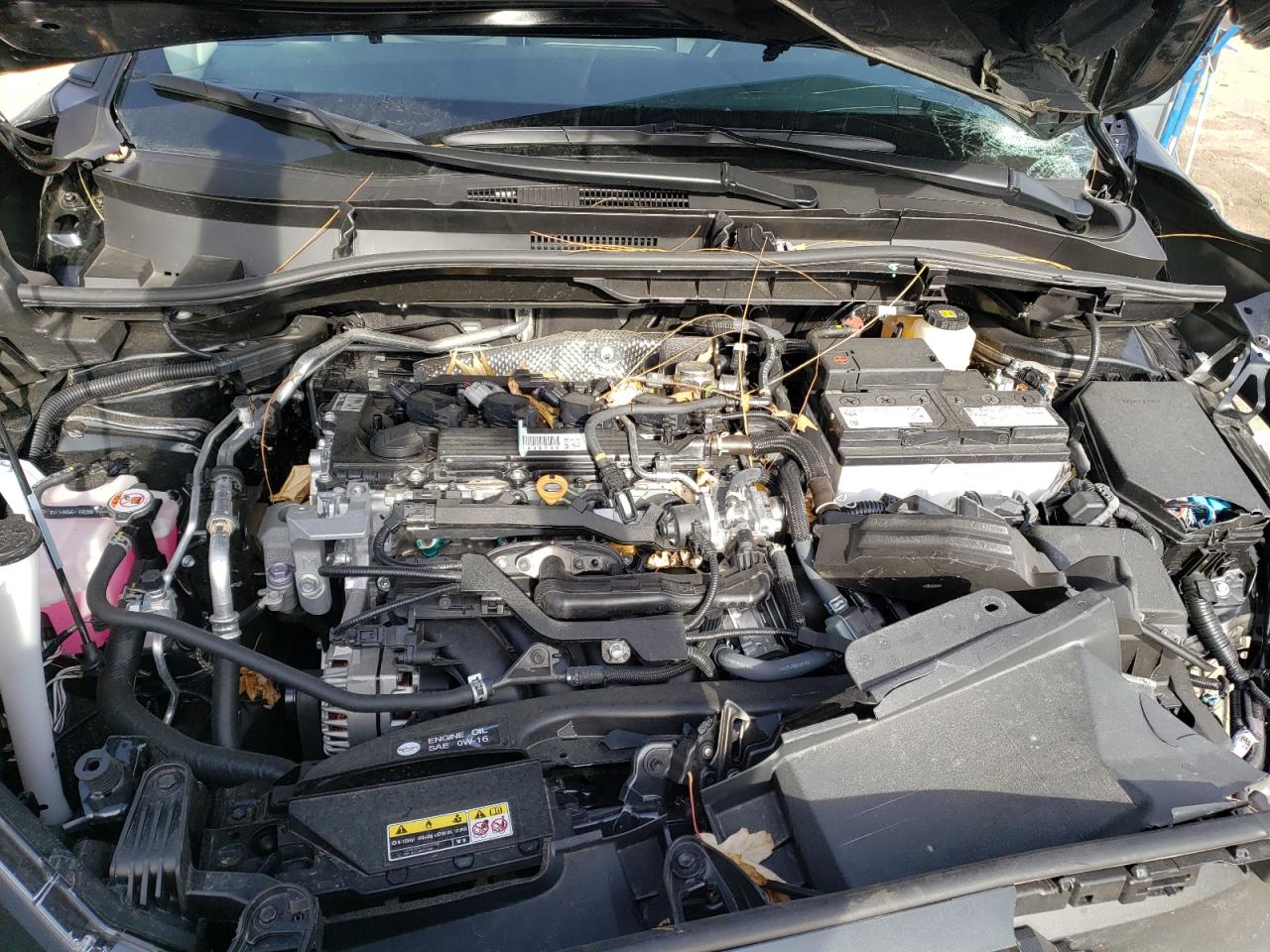 2023 TOYOTA COROLLA CROSS XLE VIN:7MUDAABG1PV070232