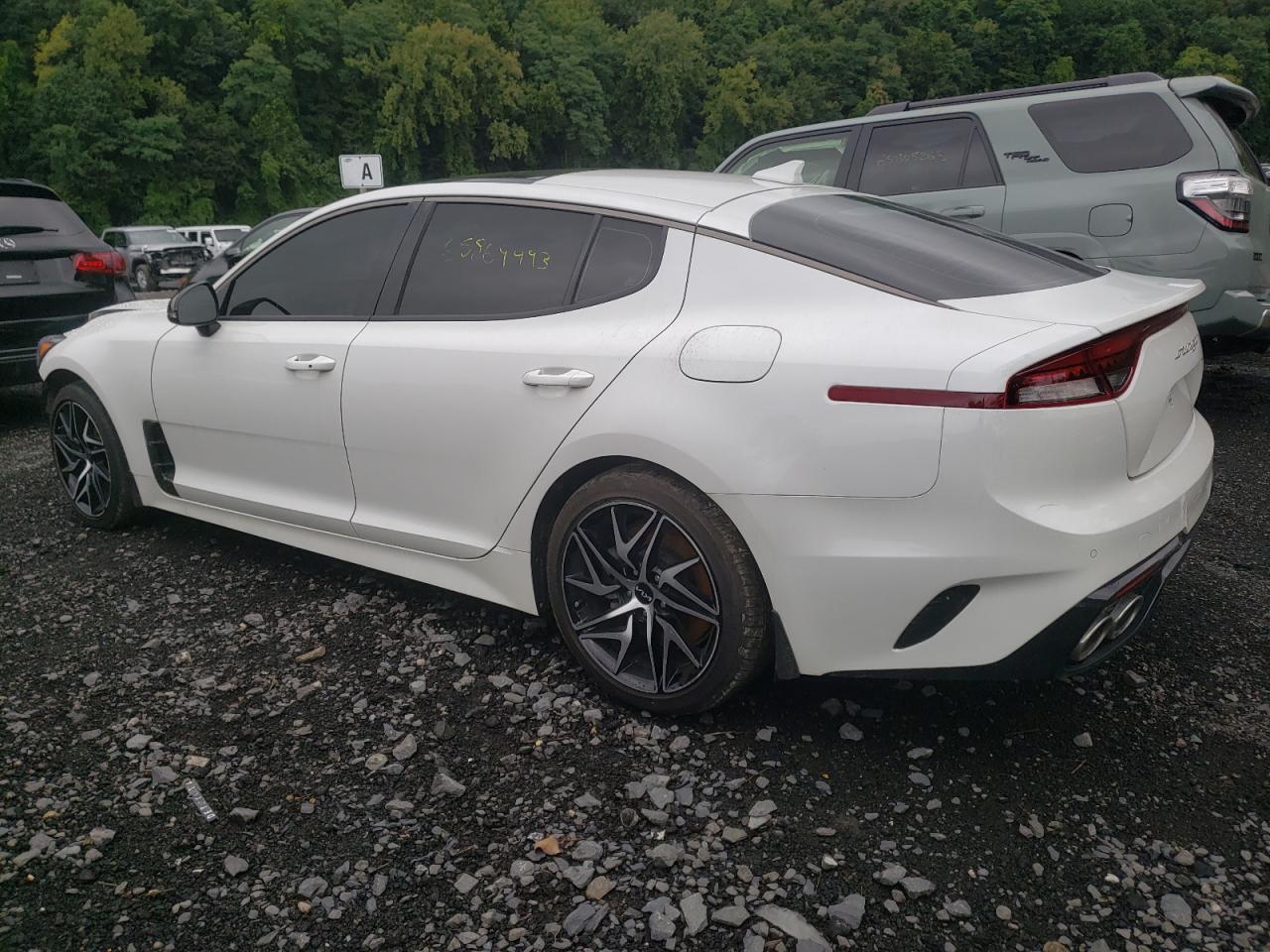 2023 KIA STINGER GT LINE VIN:KNAE35LD3P6128035