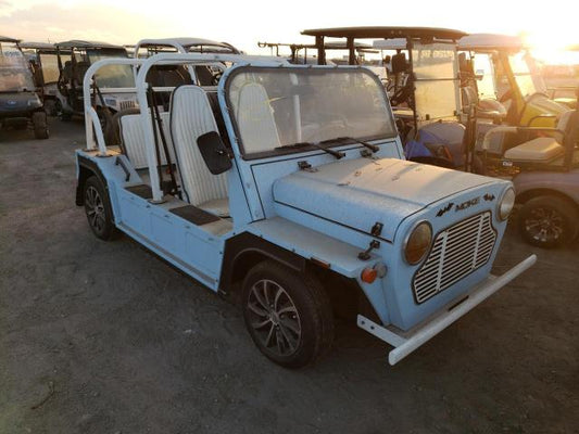 2021 MOKE CRUISER VIN: 5YNWAH***********