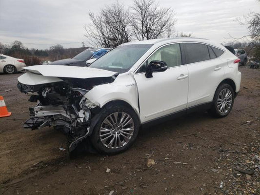 2021 TOYOTA VENZA LE VIN: JTEAAAAHXMJ018061