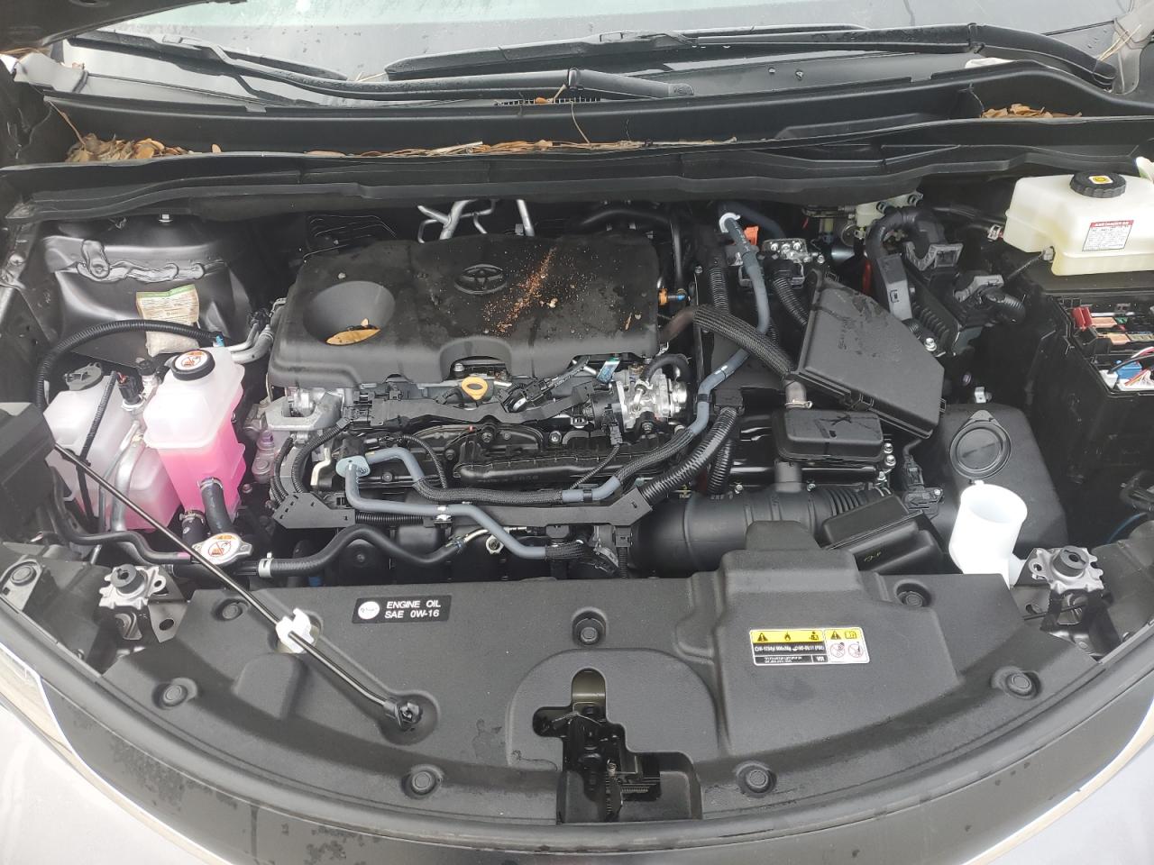 2023 TOYOTA SIENNA XLE VIN:5TDYRKEC7PS177563