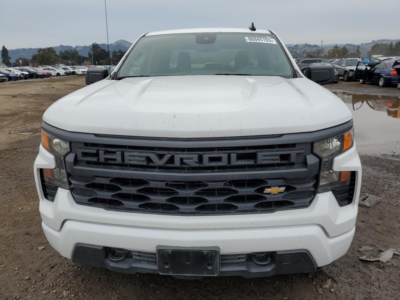 2022 CHEVROLET SILVERADO K1500 CUSTOM VIN:1GCPDBEK3NZ607487