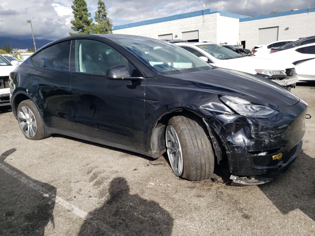 2022 TESLA MODEL Y  VIN:7SAYGDEE3NF361423