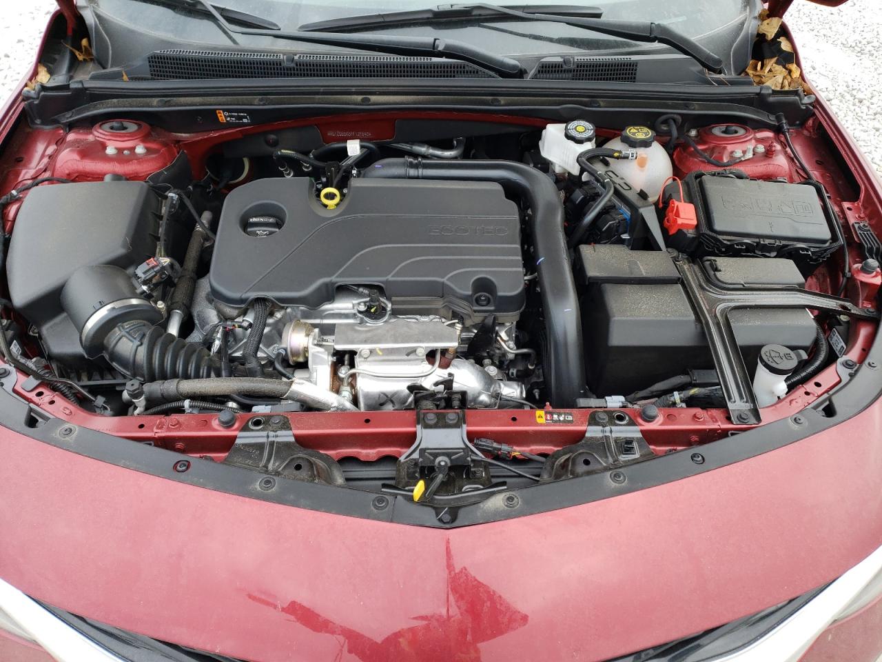 2023 CHEVROLET MALIBU RS VIN:1G1ZG5ST8PF127540