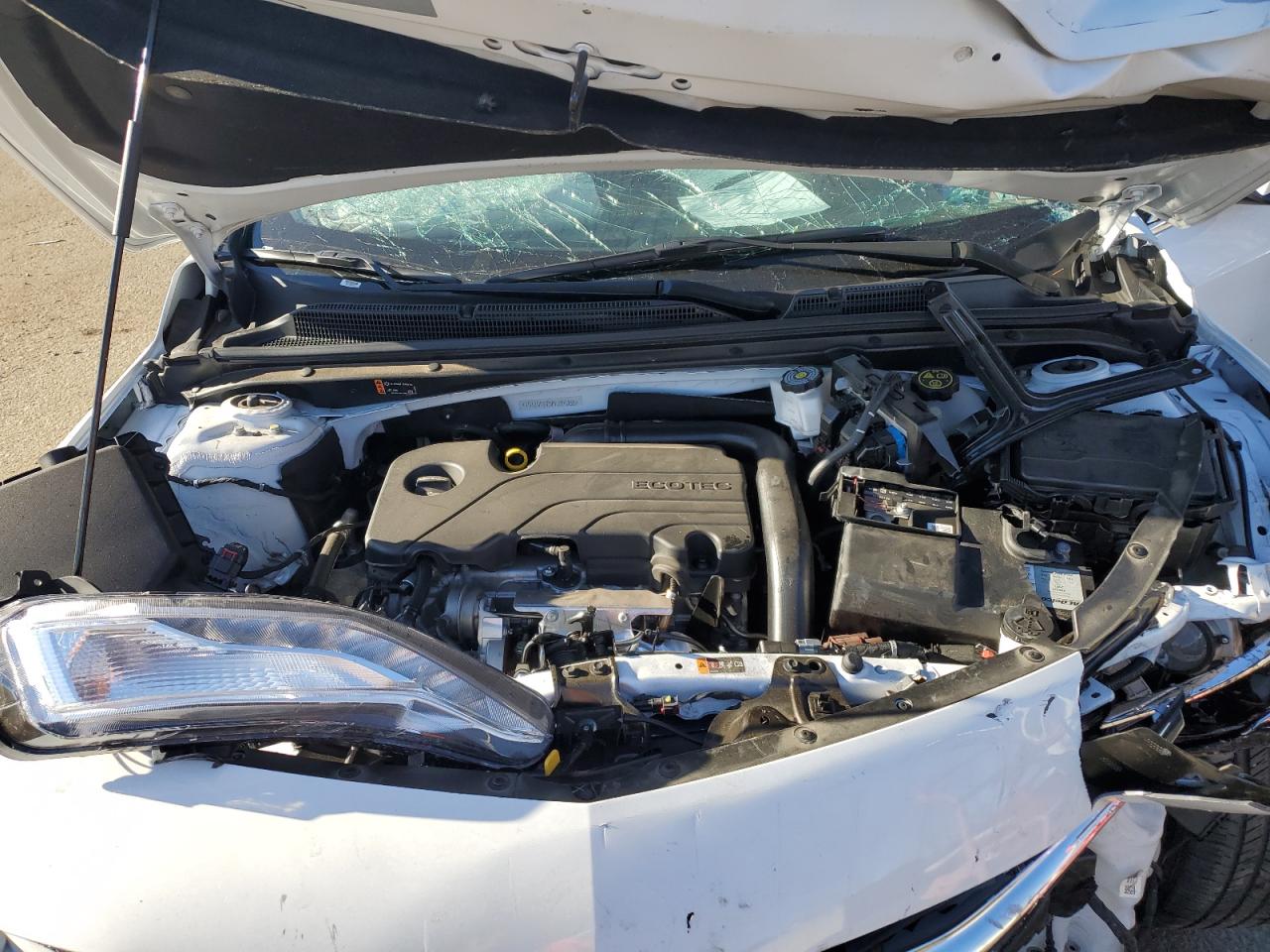 2023 CHEVROLET MALIBU LT VIN:1G1ZD5ST8PF224035