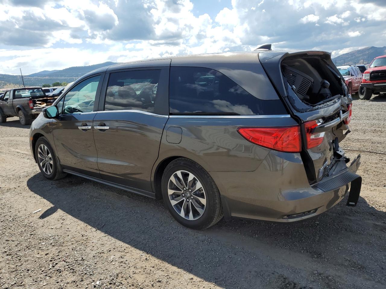 2023 HONDA ODYSSEY EXL VIN:5FNRL6H65PB039558