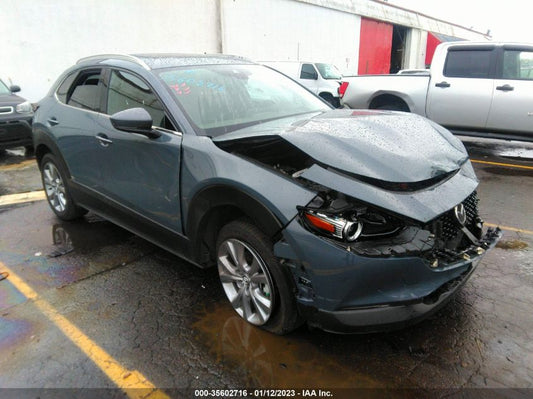 2021 MAZDA CX-30 PREMIUM VIN: 3MVDMBDLXMM305660