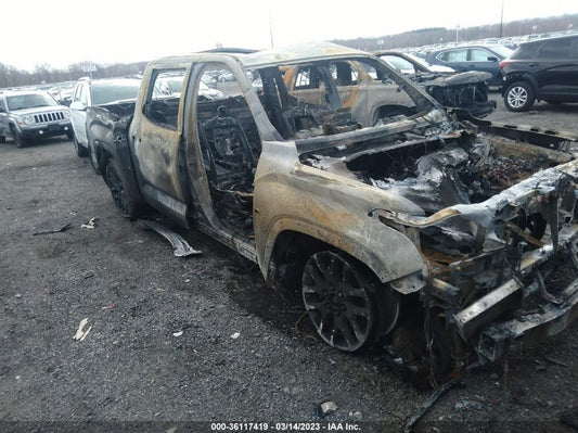 2022 TOYOTA TUNDRA 4WD PLATINUM VIN: 5TFNA5DB6NX020621