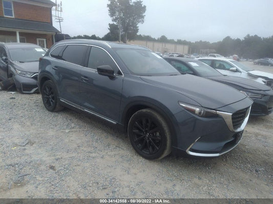 2021 MAZDA CX-9 CARBON EDITION VIN: JM3TCBDY7M0504669