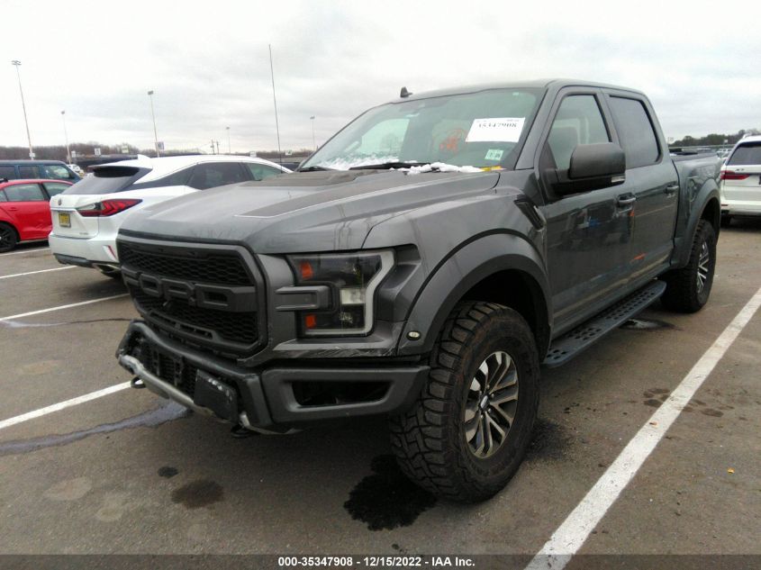 2020 FORD F-150 RAPTOR VIN: 1FTFW1RG4LFA44339