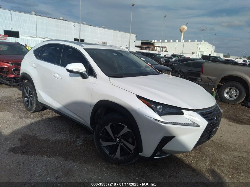 2021 LEXUS NX NX 300 VIN: JTJGARBZ5M5025431