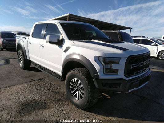 2020 FORD F-150 RAPTOR VIN: 1FTFW1RG0LFA14934