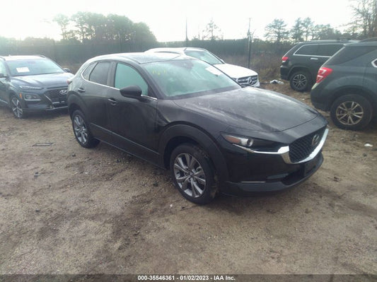 2021 MAZDA CX-30 SELECT VIN: 3MVDMBBL0MM316024