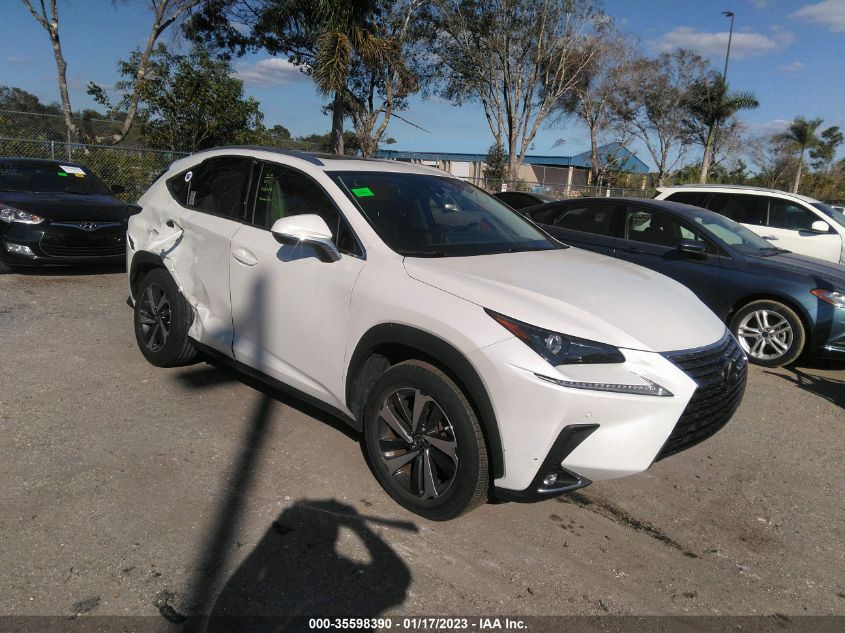 2020 LEXUS NX NX 300 VIN: JTJGARBZ4L5008098