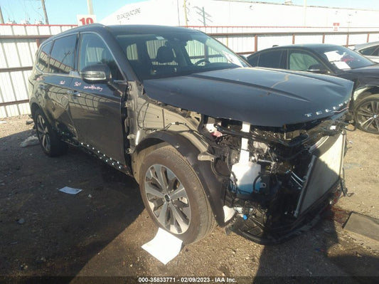 2022 KIA TELLURIDE S VIN: 5XYP6DHC5NG317003